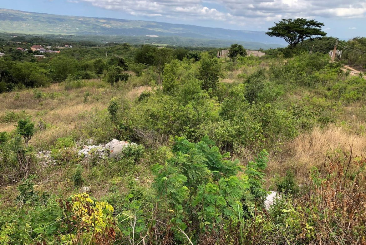 Thirteenth image of Lot 122 Montpelier, Manchester in Spur Tree, Manchester, Jamaica - property is For Sale