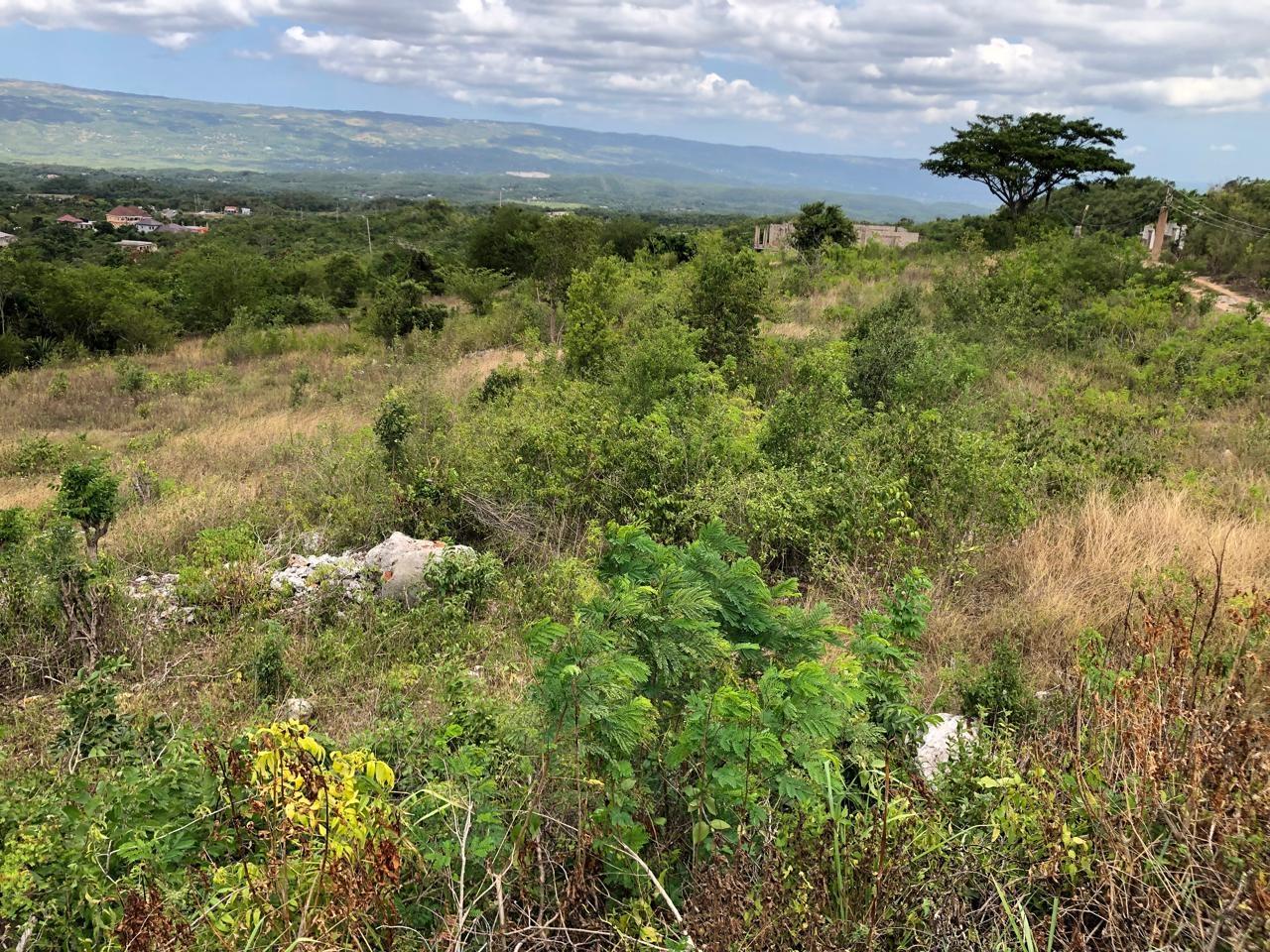 Residential-Lot-for-Sale-in-Montpelier-Manchester-Jamaica-1-Acre-Hillside-Property Thirteenth image of Lot 122 Montpelier, Manchester in Spur Tree, Manchester, Jamaica - property is For Sale