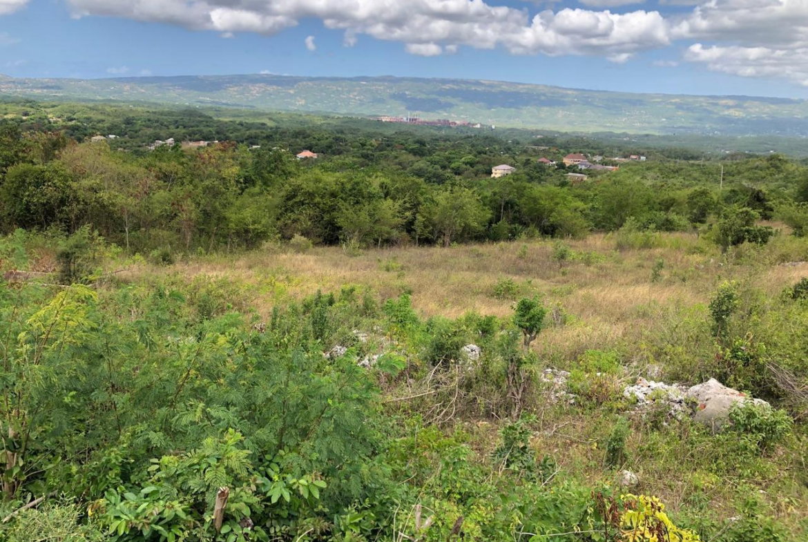 Fifteenth image of Lot 122 Montpelier, Manchester in Spur Tree, Manchester, Jamaica - property is For Sale