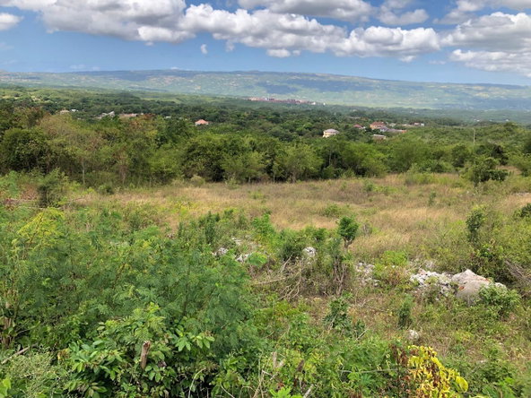Fifteenth image of Lot 122 Montpelier, Manchester in Spur Tree, Manchester, Jamaica - property is For Sale