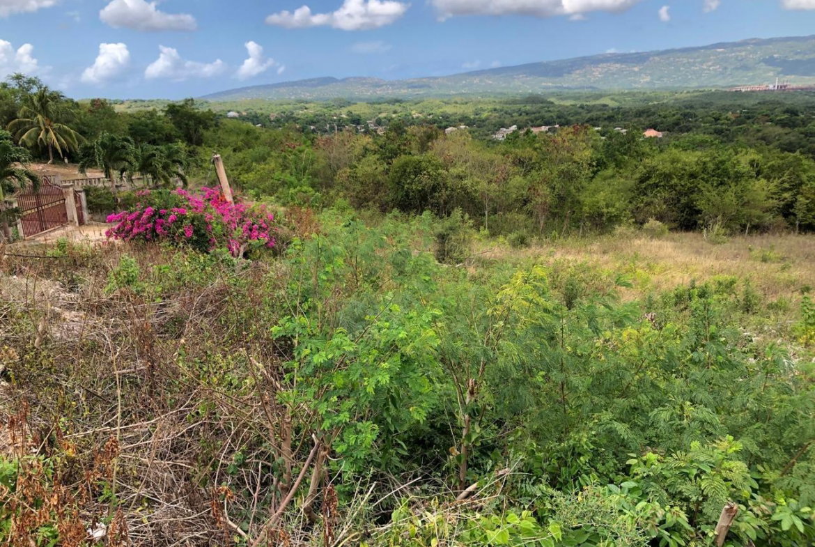 Sixteenth image of Lot 122 Montpelier, Manchester in Spur Tree, Manchester, Jamaica - property is For Sale