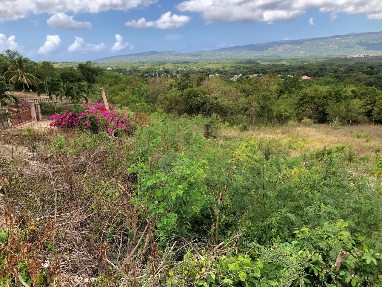Residential-Lot-for-Sale-in-Montpelier-Manchester-Jamaica-1-Acre-Hillside-Property Sixteenth image of Lot 122 Montpelier, Manchester in Spur Tree, Manchester, Jamaica - property is For Sale