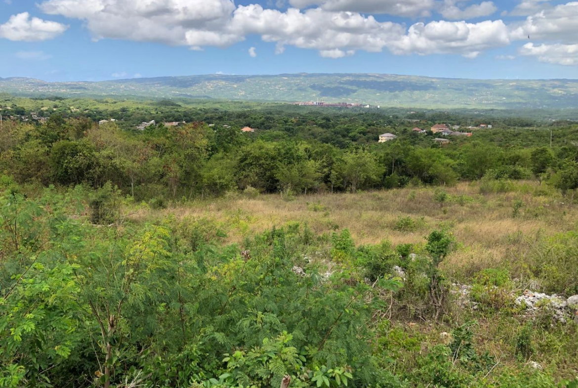 Seventeenth image of Lot 122 Montpelier, Manchester in Spur Tree, Manchester, Jamaica - property is For Sale