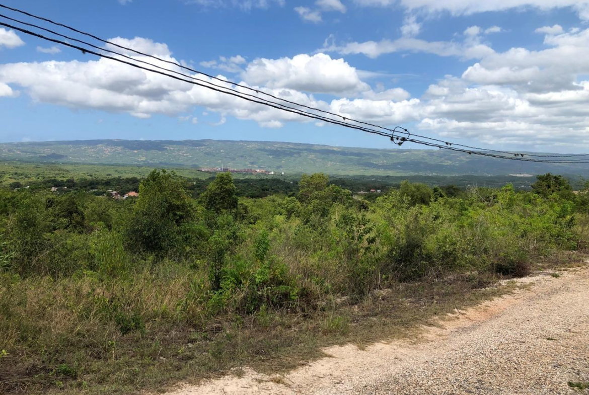 Eighteenth image of Lot 122 Montpelier, Manchester in Spur Tree, Manchester, Jamaica - property is For Sale