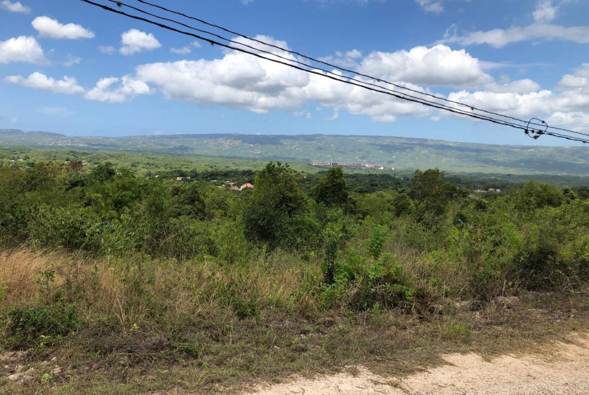 Nineteenth image of Lot 122 Montpelier, Manchester in Spur Tree, Manchester, Jamaica - property is For Sale
