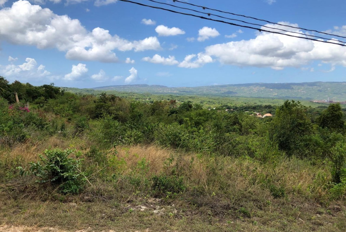 Twentieth image of Lot 122 Montpelier, Manchester in Spur Tree, Manchester, Jamaica - property is For Sale