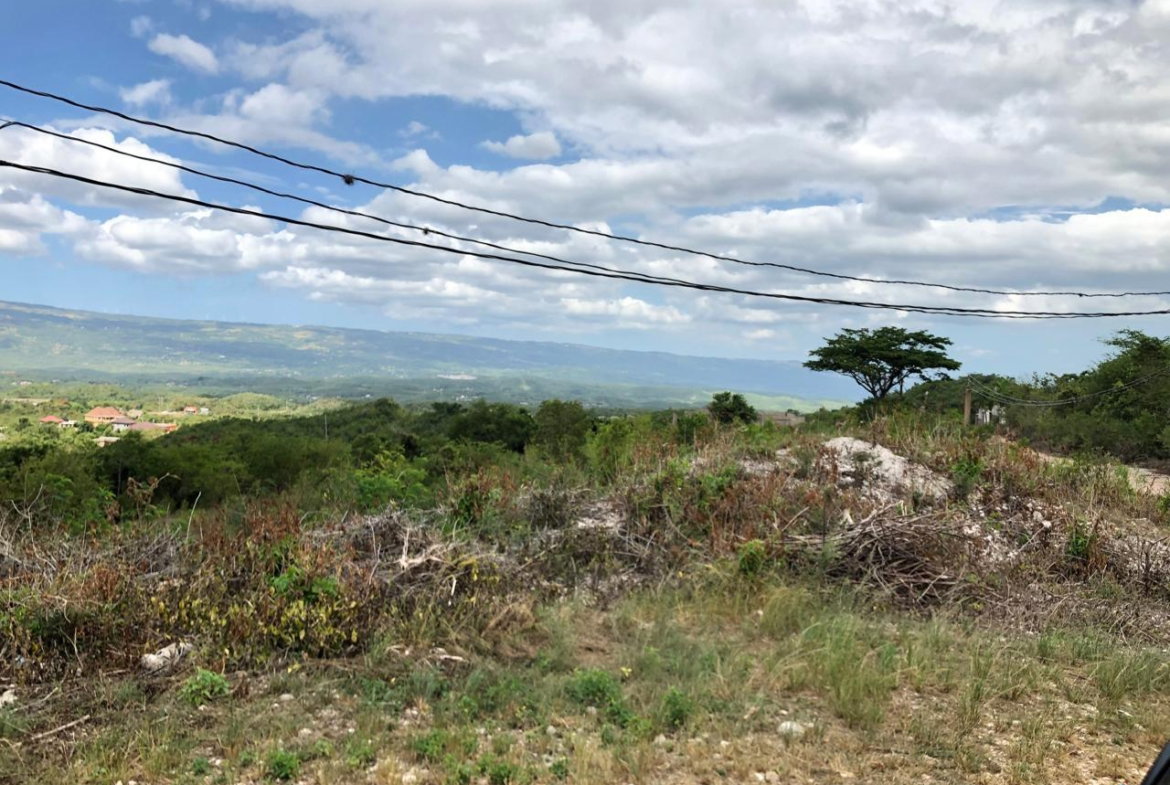 Twenty-First image of Lot 122 Montpelier, Manchester in Spur Tree, Manchester, Jamaica - property is For Sale