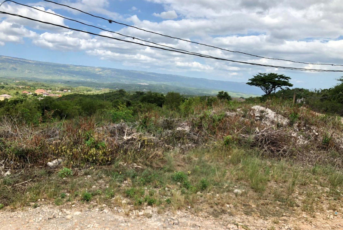 Twenty-Second image of Lot 122 Montpelier, Manchester in Spur Tree, Manchester, Jamaica - property is For Sale