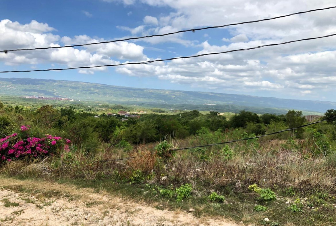 Twenty-Third image of Lot 122 Montpelier, Manchester in Spur Tree, Manchester, Jamaica - property is For Sale