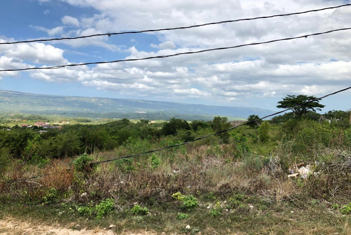 Twenty-Fourth image of Lot 122 Montpelier, Manchester in Spur Tree, Manchester, Jamaica - property is For Sale