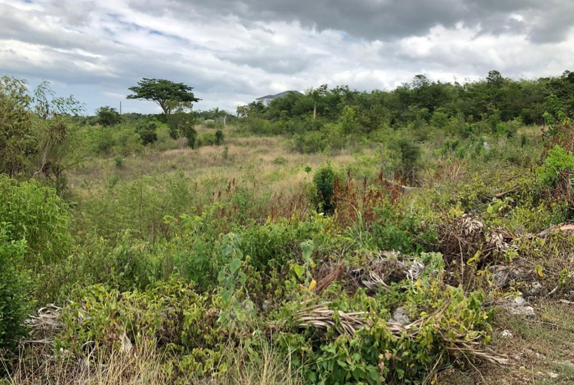 Twenty-Fifth image of Lot 122 Montpelier, Manchester in Spur Tree, Manchester, Jamaica - property is For Sale