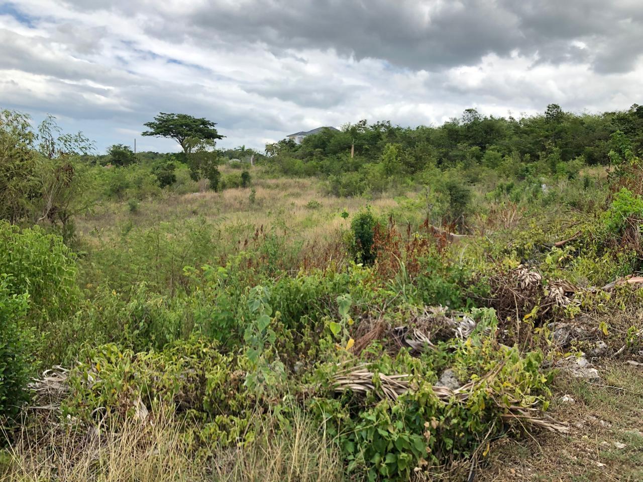 Residential-Lot-for-Sale-in-Montpelier-Manchester-Jamaica-1-Acre-Hillside-Property Twenty-Fifth image of Lot 122 Montpelier, Manchester in Spur Tree, Manchester, Jamaica - property is For Sale