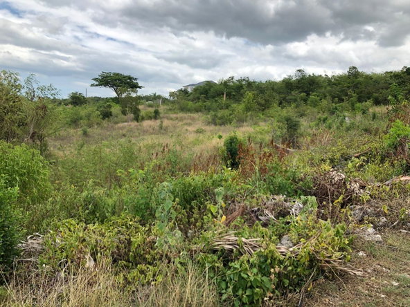 Twenty-Fifth image of Lot 122 Montpelier, Manchester in Spur Tree, Manchester, Jamaica - property is For Sale