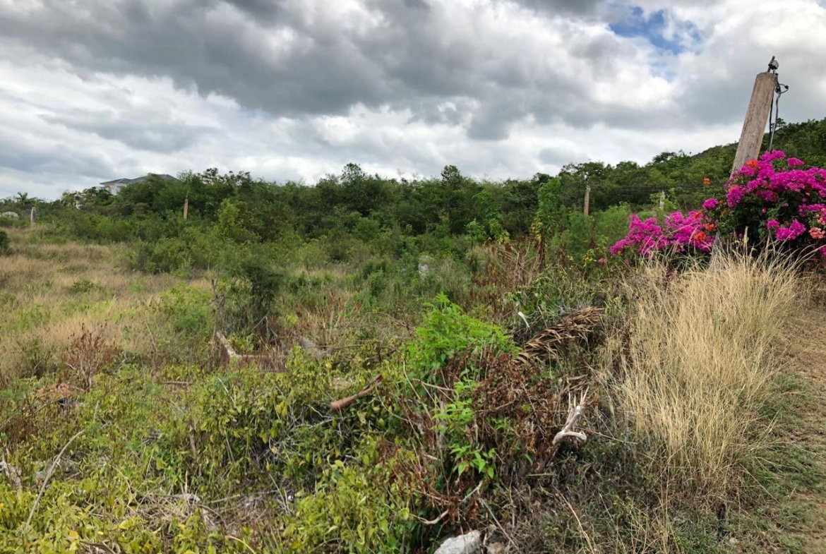 Twenty-Sixth image of Lot 122 Montpelier, Manchester in Spur Tree, Manchester, Jamaica - property is For Sale