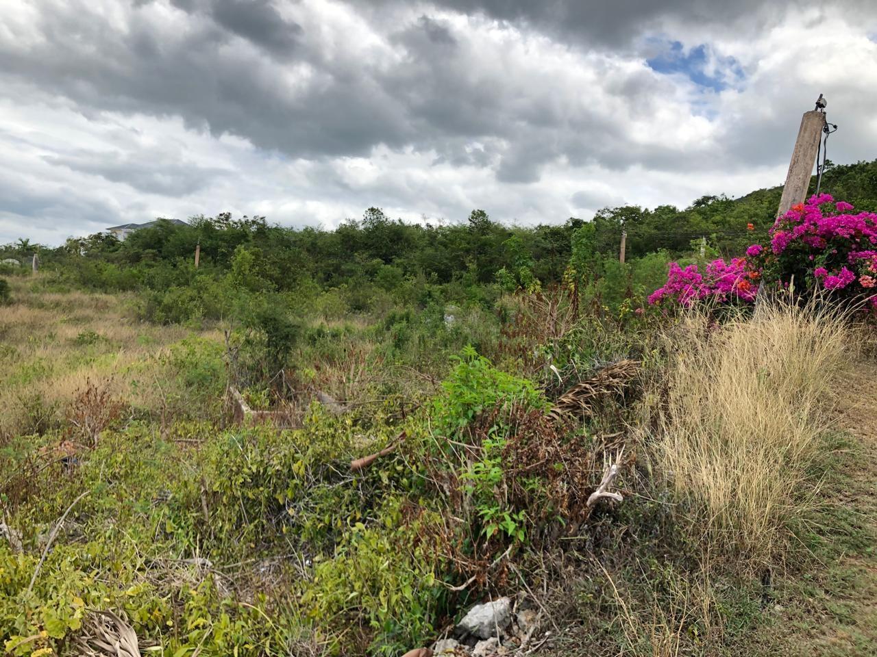 Residential-Lot-for-Sale-in-Montpelier-Manchester-Jamaica-1-Acre-Hillside-Property Twenty-Sixth image of Lot 122 Montpelier, Manchester in Spur Tree, Manchester, Jamaica - property is For Sale