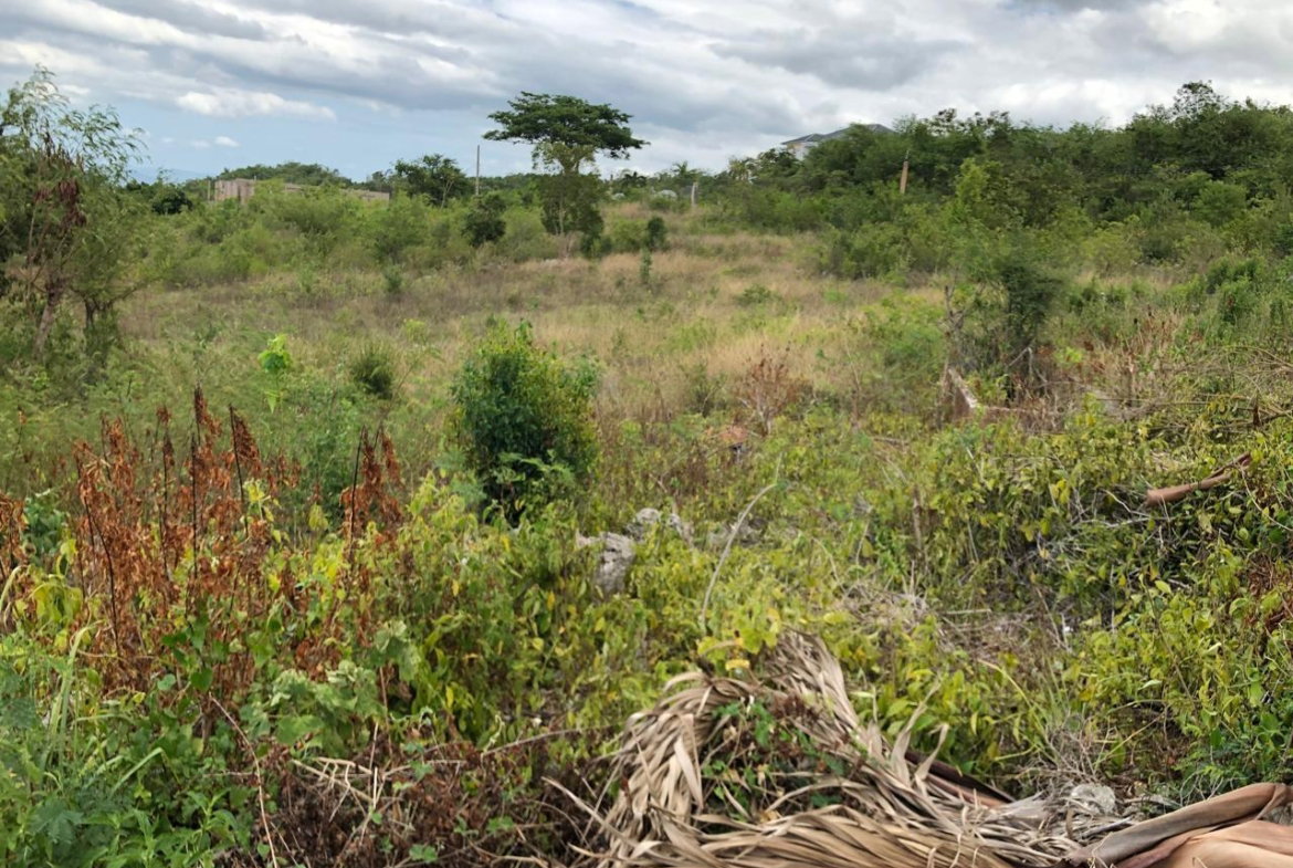 Twenty-Seventh image of Lot 122 Montpelier, Manchester in Spur Tree, Manchester, Jamaica - property is For Sale