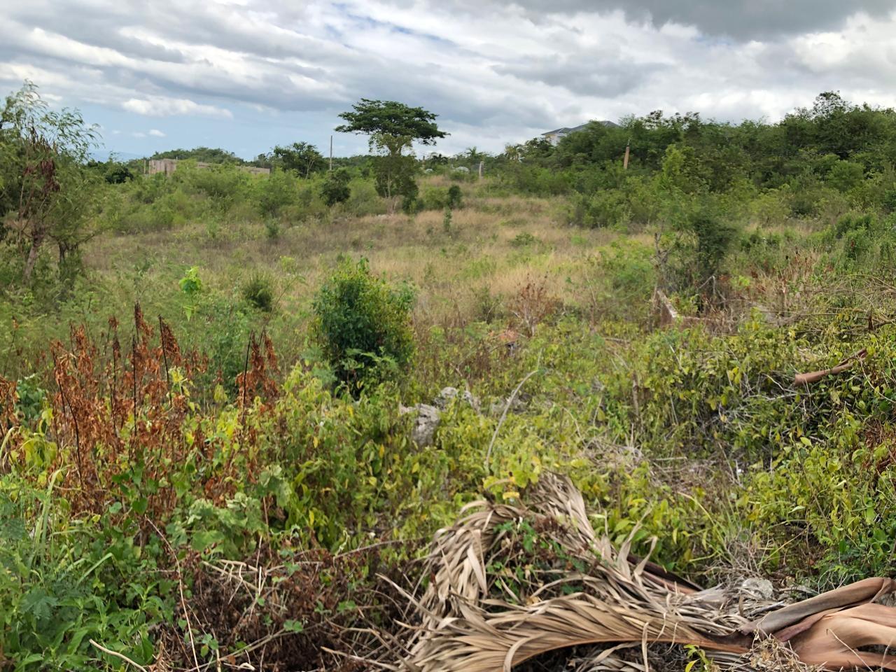Residential-Lot-for-Sale-in-Montpelier-Manchester-Jamaica-1-Acre-Hillside-Property Twenty-Seventh image of Lot 122 Montpelier, Manchester in Spur Tree, Manchester, Jamaica - property is For Sale