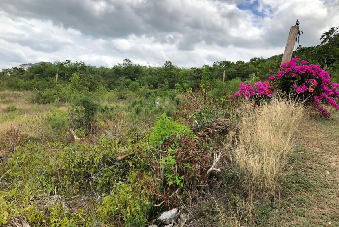 Twenty-Eighth image of Lot 122 Montpelier, Manchester in Spur Tree, Manchester, Jamaica - property is For Sale