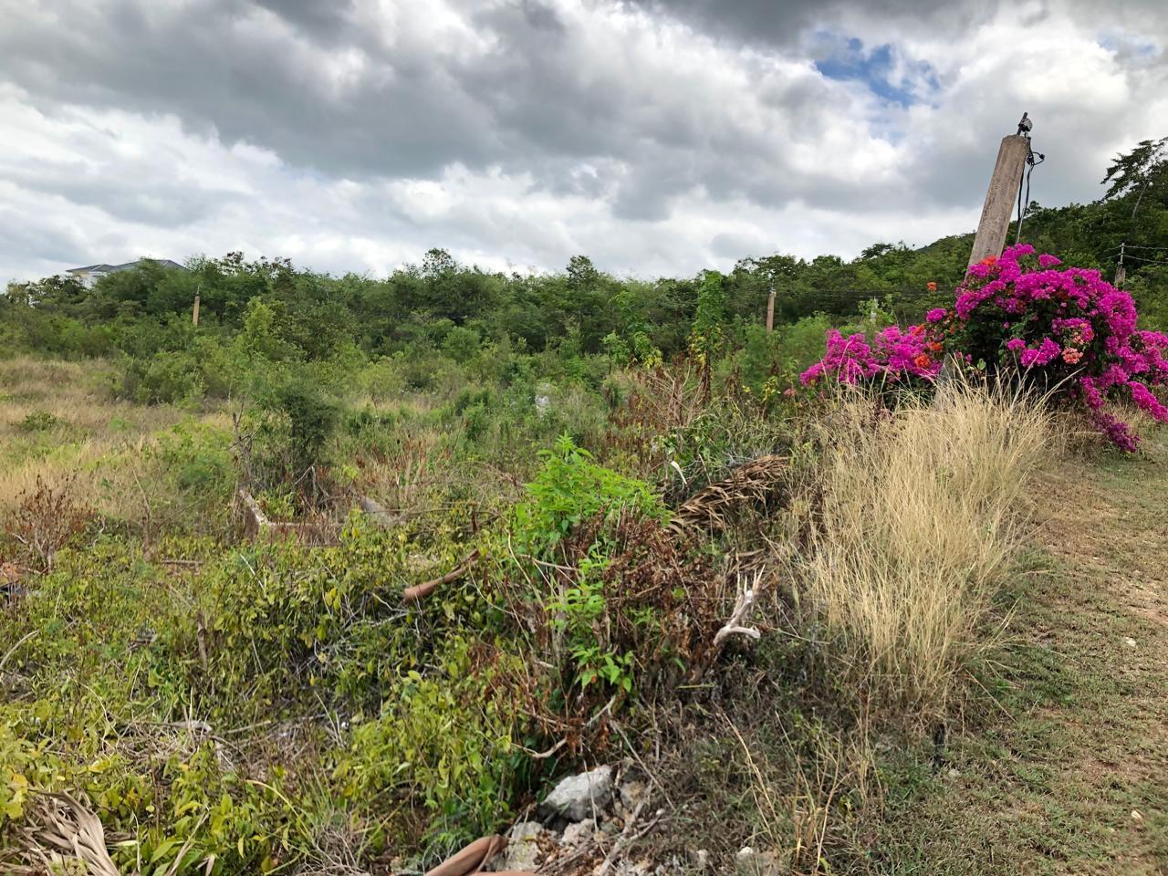 Residential-Lot-for-Sale-in-Montpelier-Manchester-Jamaica-1-Acre-Hillside-Property Twenty-Eighth image of Lot 122 Montpelier, Manchester in Spur Tree, Manchester, Jamaica - property is For Sale