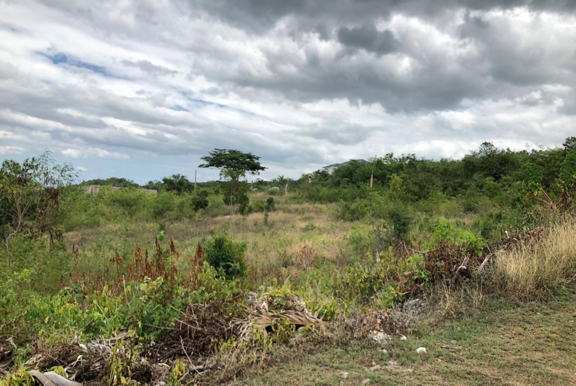 Twenty-Ninth image of Lot 122 Montpelier, Manchester in Spur Tree, Manchester, Jamaica - property is For Sale