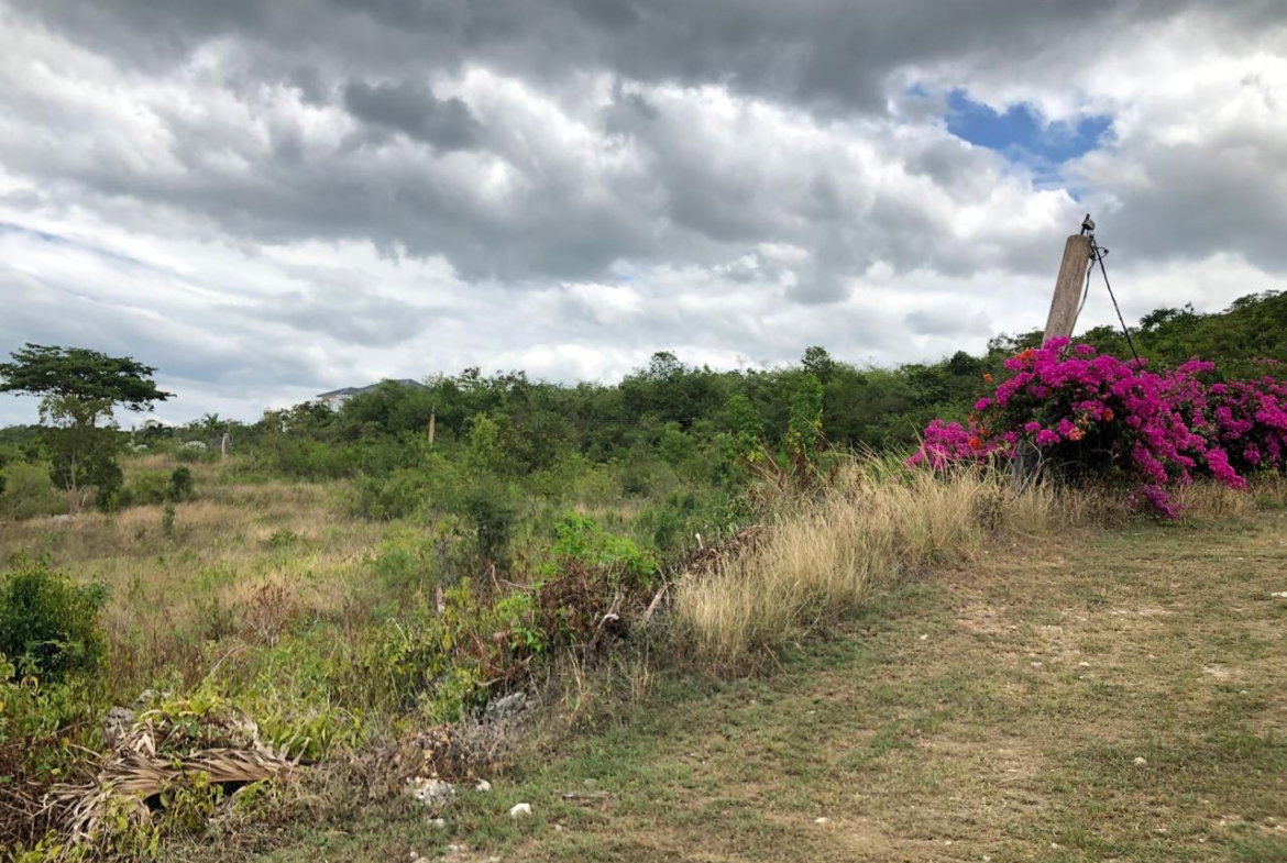 Thirtieth image of Lot 122 Montpelier, Manchester in Spur Tree, Manchester, Jamaica - property is For Sale