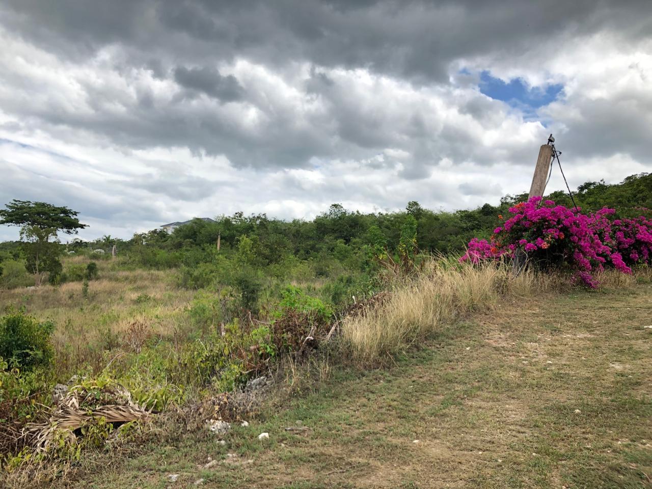 Residential-Lot-for-Sale-in-Montpelier-Manchester-Jamaica-1-Acre-Hillside-Property Thirtieth image of Lot 122 Montpelier, Manchester in Spur Tree, Manchester, Jamaica - property is For Sale