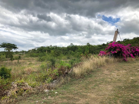 Thirtieth image of Lot 122 Montpelier, Manchester in Spur Tree, Manchester, Jamaica - property is For Sale