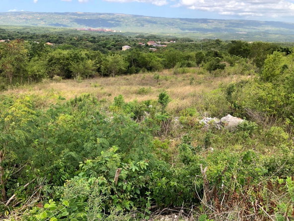 Sixth image of Lot 122 Montpelier, Manchester in Spur Tree, Manchester, Jamaica - property is For Sale
