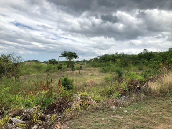 First image of Lot 122 Montpelier, Manchester in Spur Tree, Manchester, Jamaica - property is For Sale