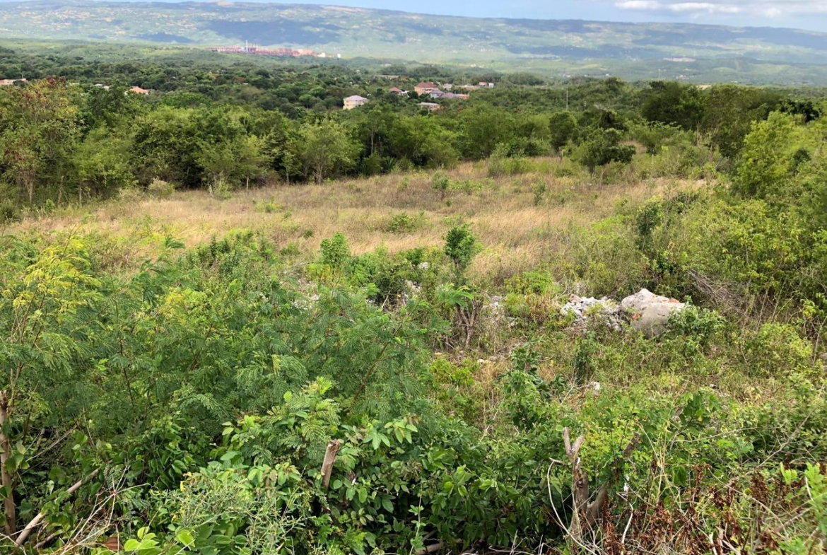 Seventh image of Lot 122 Montpelier, Manchester in Spur Tree, Manchester, Jamaica - property is For Sale