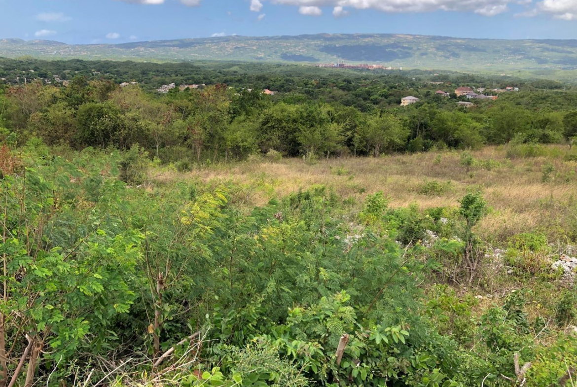 Eighth image of Lot 122 Montpelier, Manchester in Spur Tree, Manchester, Jamaica - property is For Sale