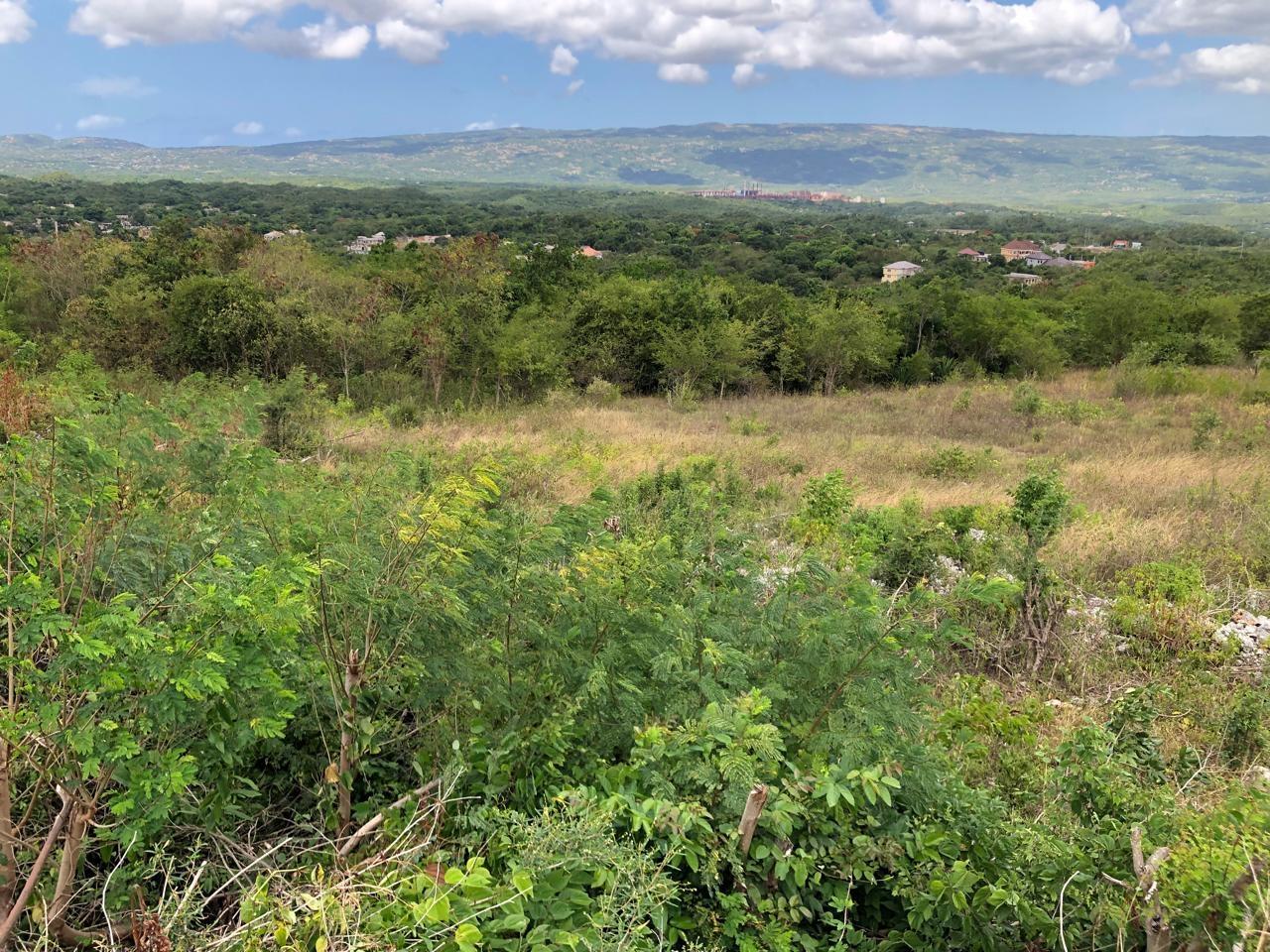 Residential-Lot-for-Sale-in-Montpelier-Manchester-Jamaica-1-Acre-Hillside-Property Eighth image of Lot 122 Montpelier, Manchester in Spur Tree, Manchester, Jamaica - property is For Sale