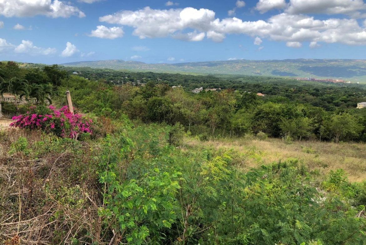 Ninth image of Lot 122 Montpelier, Manchester in Spur Tree, Manchester, Jamaica - property is For Sale