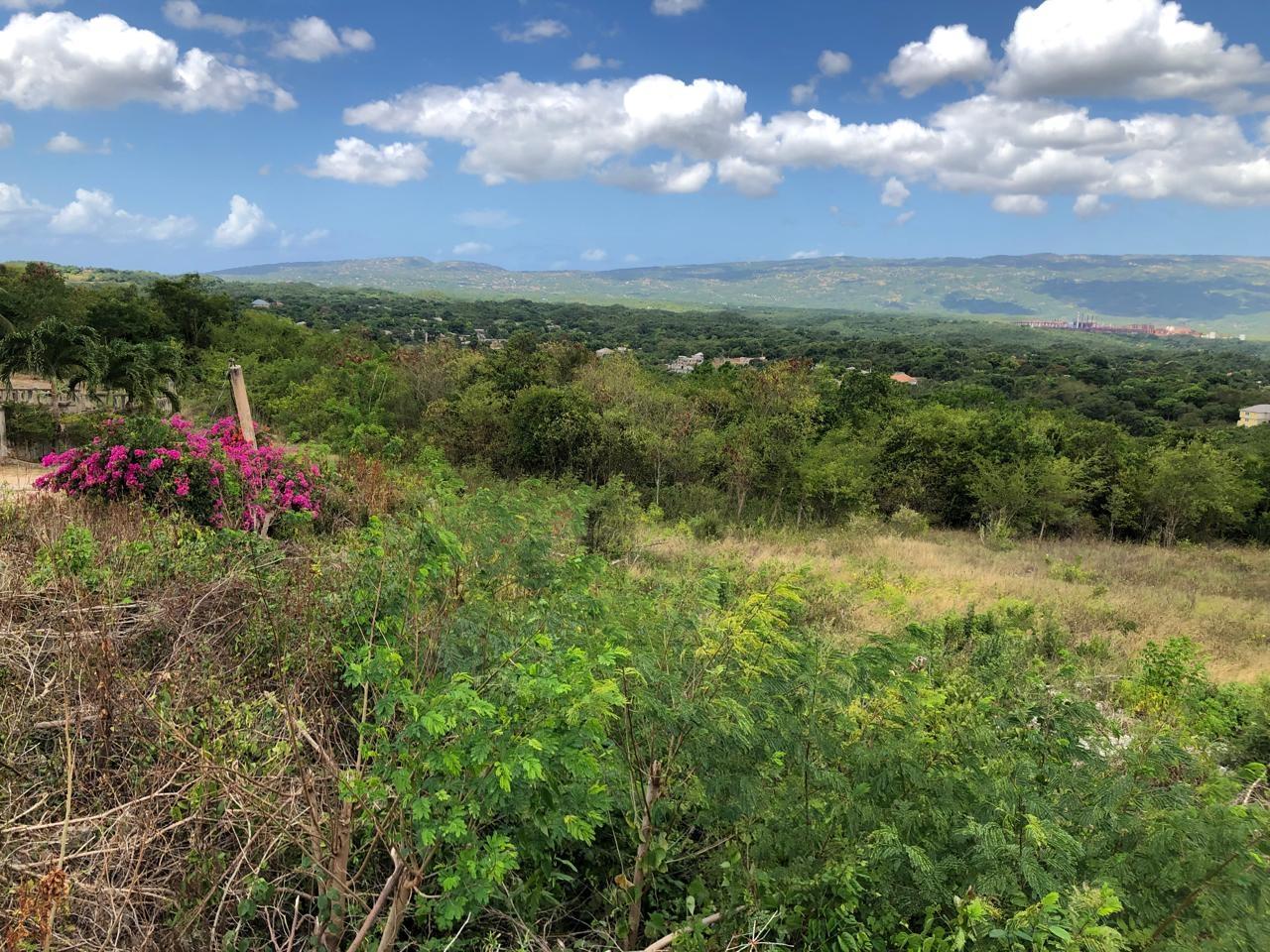 Residential-Lot-for-Sale-in-Montpelier-Manchester-Jamaica-1-Acre-Hillside-Property Ninth image of Lot 122 Montpelier, Manchester in Spur Tree, Manchester, Jamaica - property is For Sale