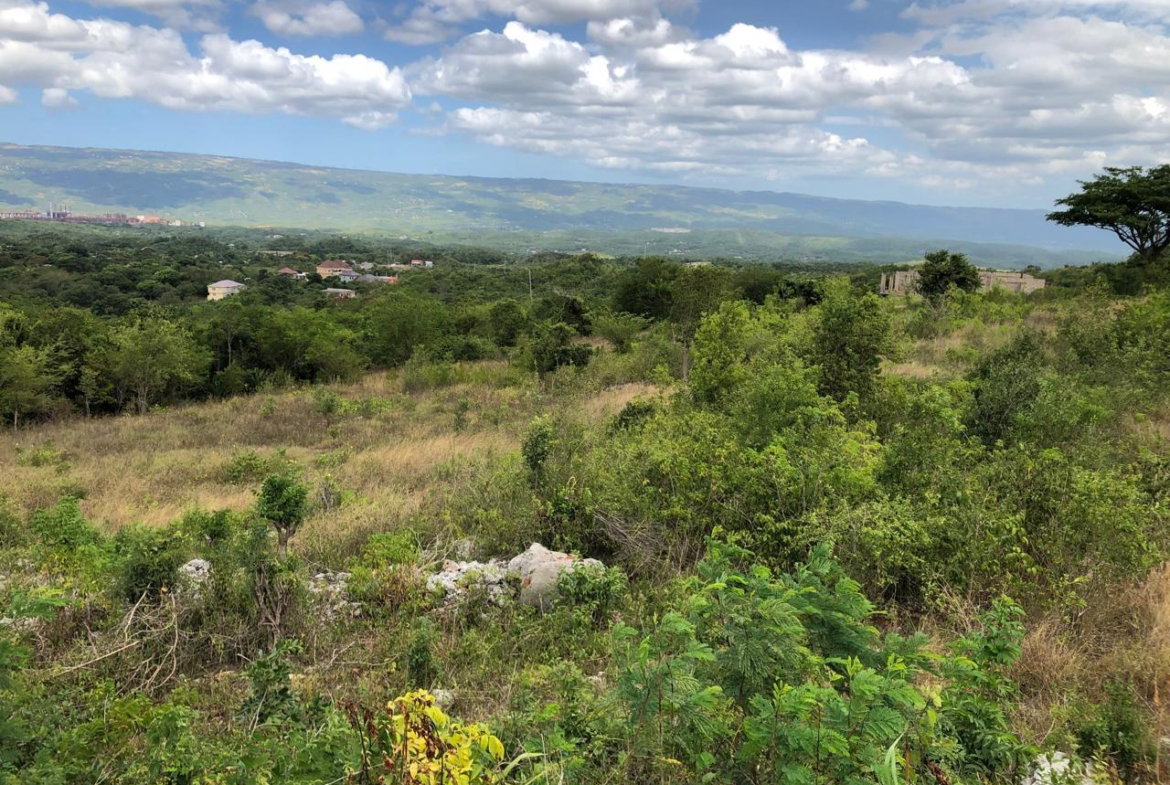 Tenth image of Lot 122 Montpelier, Manchester in Spur Tree, Manchester, Jamaica - property is For Sale