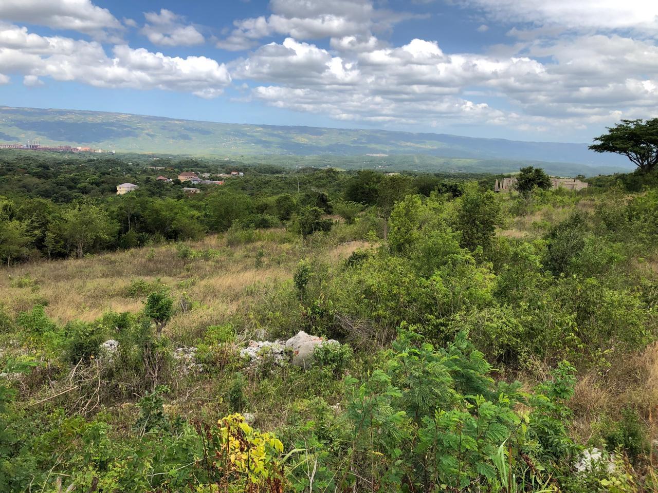Residential-Lot-for-Sale-in-Montpelier-Manchester-Jamaica-1-Acre-Hillside-Property Tenth image of Lot 122 Montpelier, Manchester in Spur Tree, Manchester, Jamaica - property is For Sale