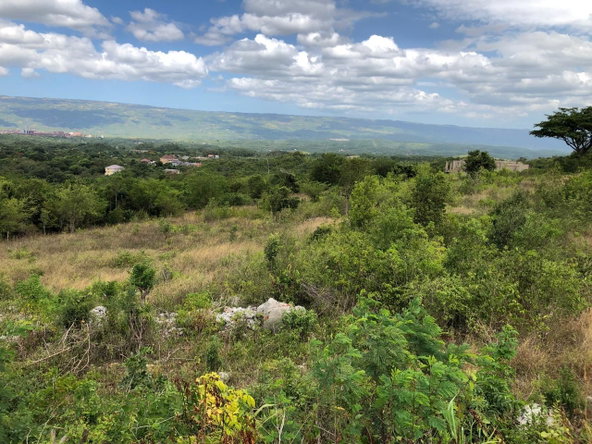 Tenth image of Lot 122 Montpelier, Manchester in Spur Tree, Manchester, Jamaica - property is For Sale