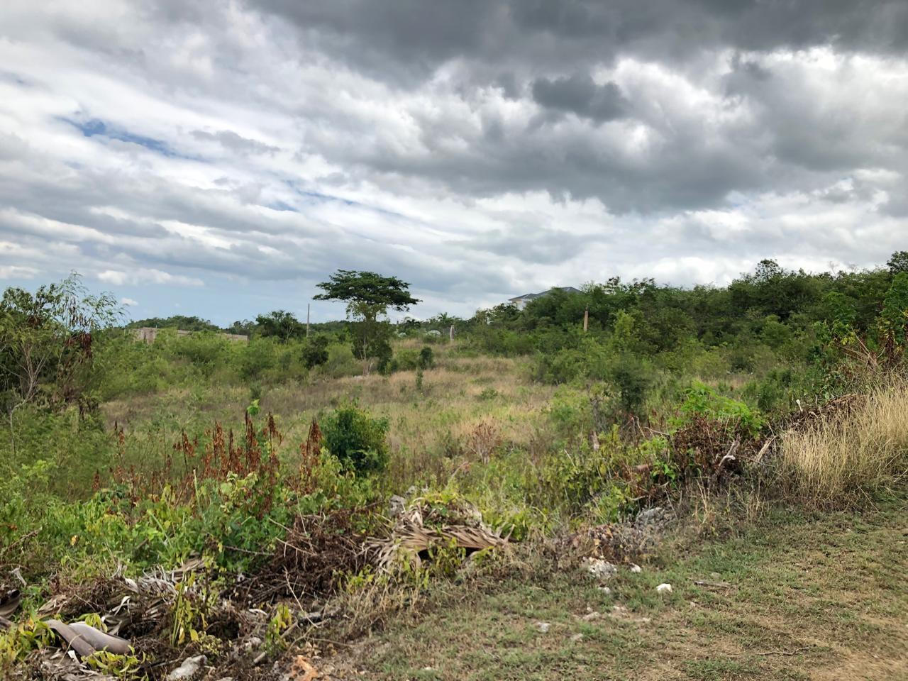 Residential-Lot-for-Sale-in-Montpelier-Manchester-Jamaica-1-Acre-Hillside-Property First image of Lot 122 Montpelier, Manchester in Spur Tree, Manchester, Jamaica - property is For Sale