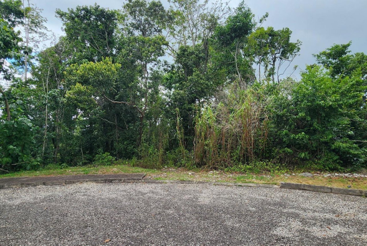 Seventh image of 197 Windmill Ridge in Moorlands Phase1&2, Manchester, Jamaica - property is For Sale