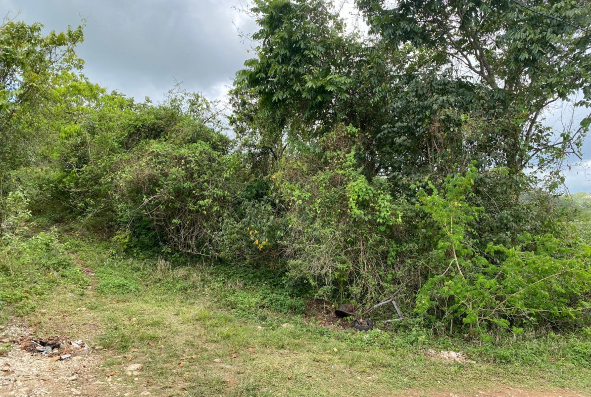 Fourth image of Mount Zion Rock Hall in Red Hills, St. Andrew, Jamaica - property is For Sale