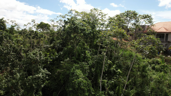 Sixteenth image of 112 New Wales in Knockpatirck, Manchester, Jamaica - property is For Sale