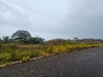 First image of 112 New Wales in Knockpatirck, Manchester, Jamaica - property is For Sale