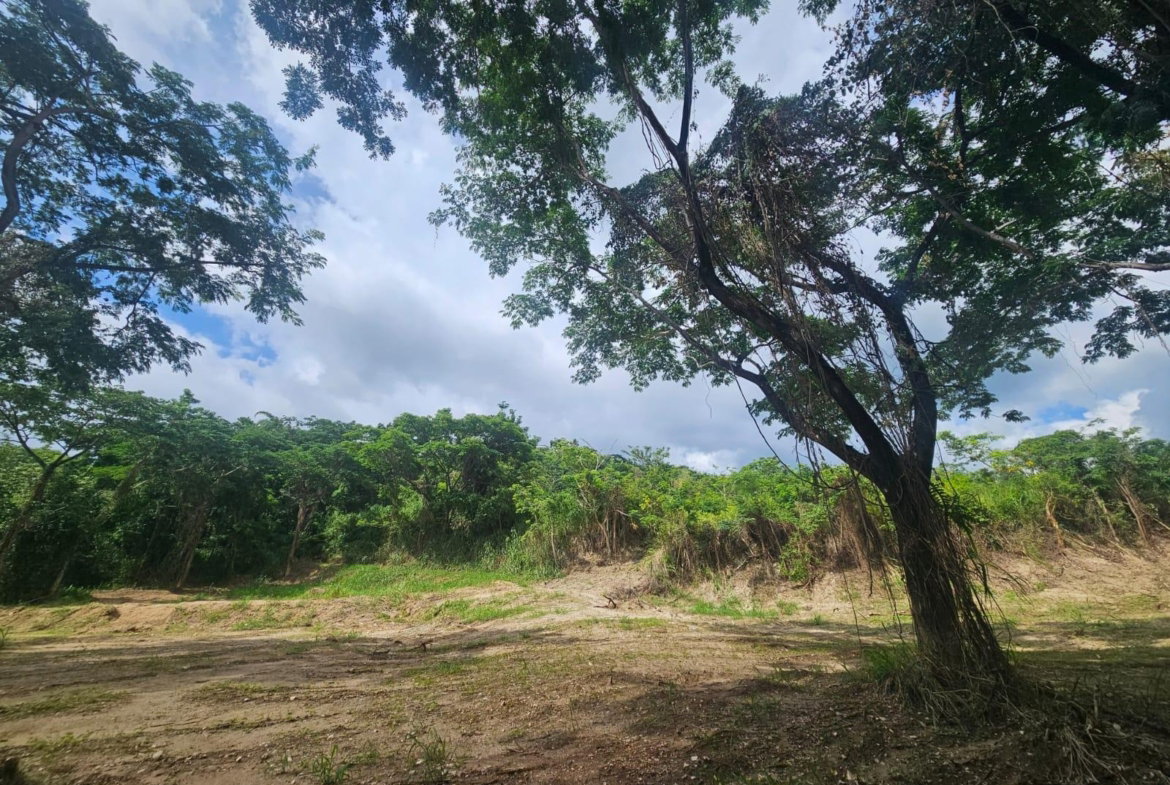 Eighth image of 5 Norbrook Heights in Constant Spring P.O., St. Andrew, Jamaica - property is For Sale