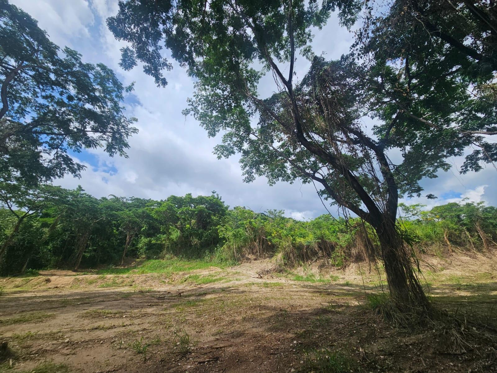 Eighth image of 5 Norbrook Heights in Constant Spring P.O., St. Andrew, Jamaica - property is For Sale