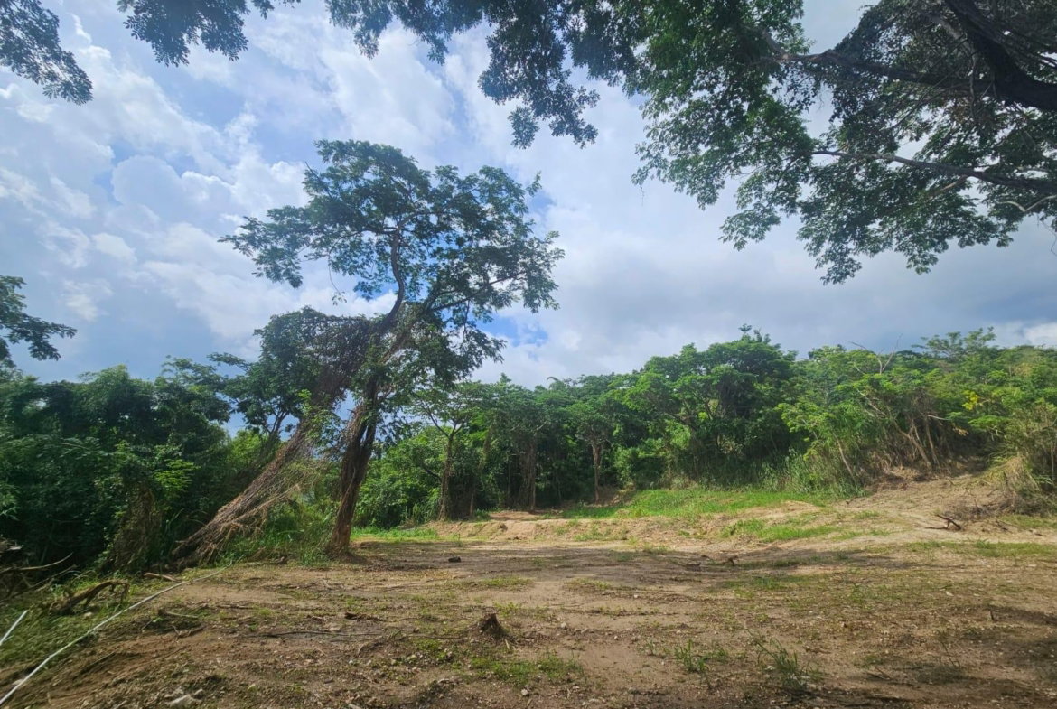 Ninth image of 5 Norbrook Heights in Constant Spring P.O., St. Andrew, Jamaica - property is For Sale