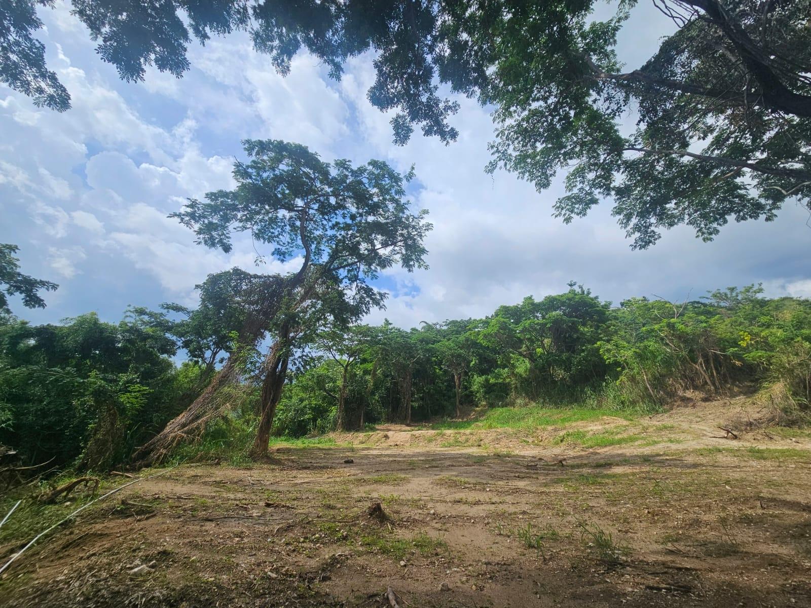 Ninth image of 5 Norbrook Heights in Constant Spring P.O., St. Andrew, Jamaica - property is For Sale