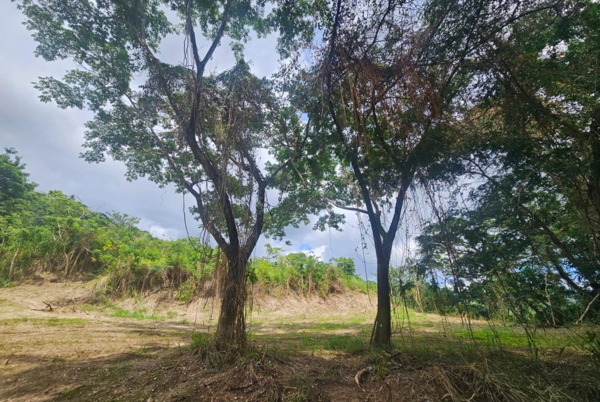 Tenth image of 5 Norbrook Heights in Constant Spring P.O., St. Andrew, Jamaica - property is For Sale