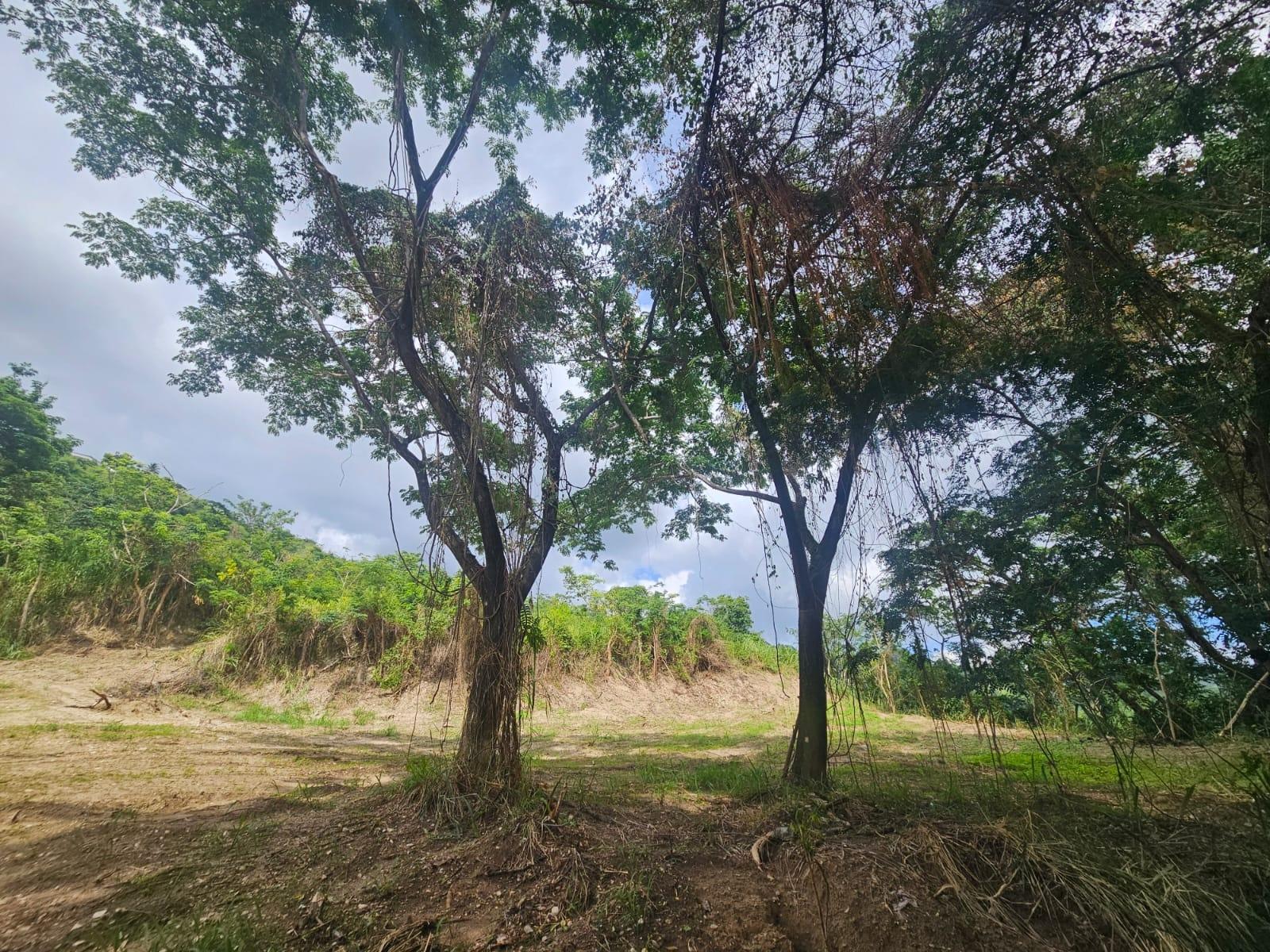 Tenth image of 5 Norbrook Heights in Constant Spring P.O., St. Andrew, Jamaica - property is For Sale