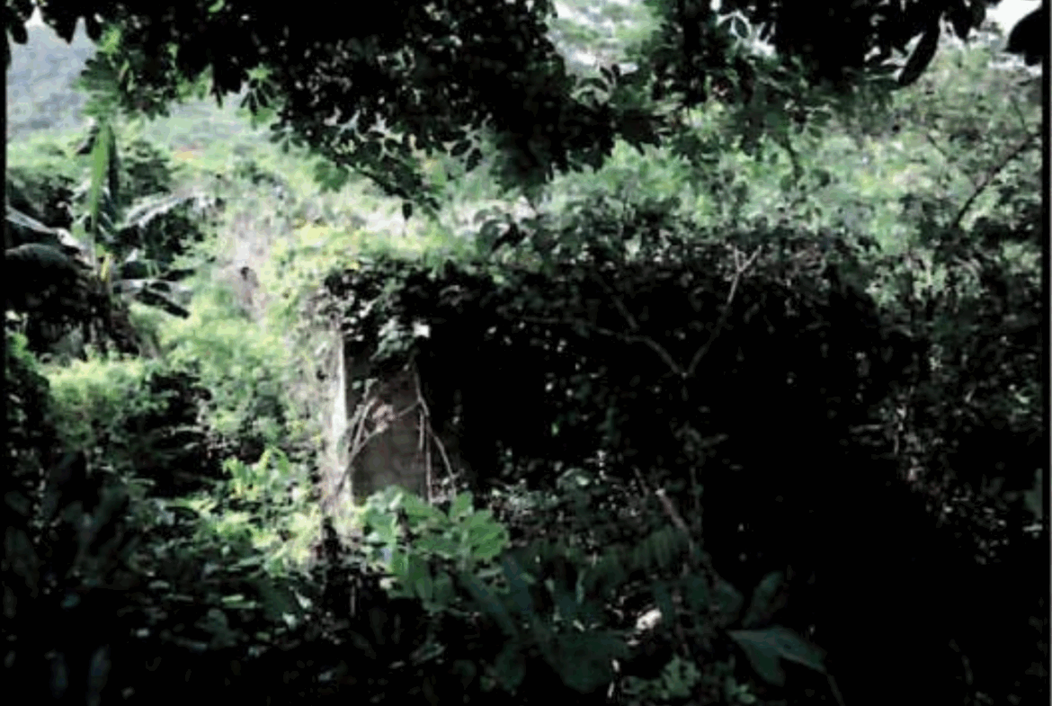 Second image of Lot 22 Kirk Avenue, Old Harbour in Old Harbour, St. Catherine, Jamaica - property is For Sale