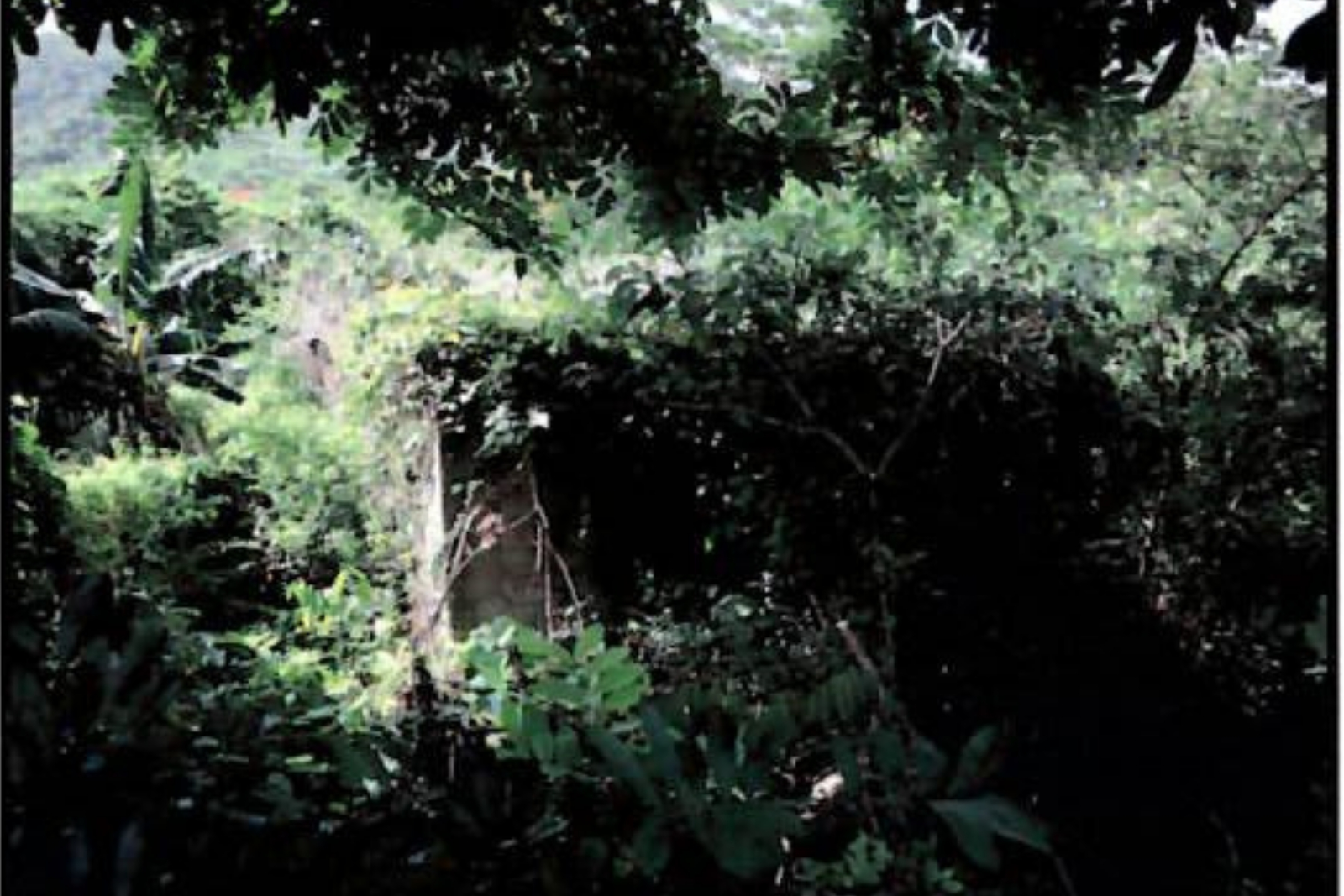 Second image of Lot 22 Kirk Avenue, Old Harbour in Old Harbour, St. Catherine, Jamaica - property is For Sale